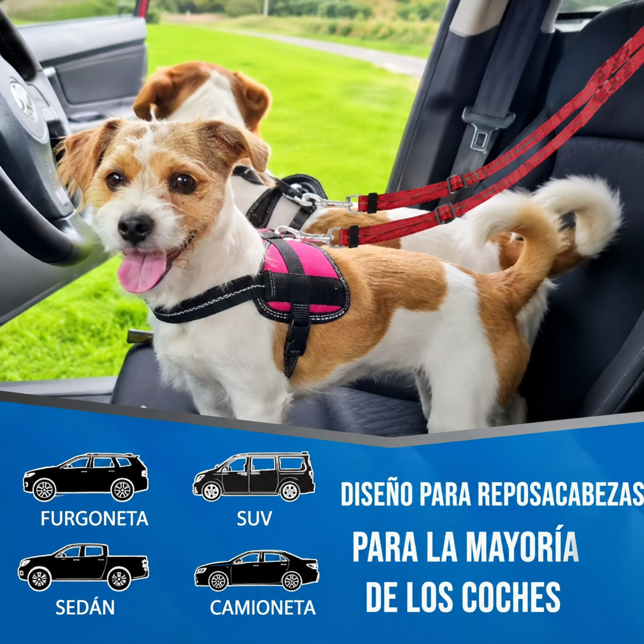 Cinturón de Seguridad Doble para Perros