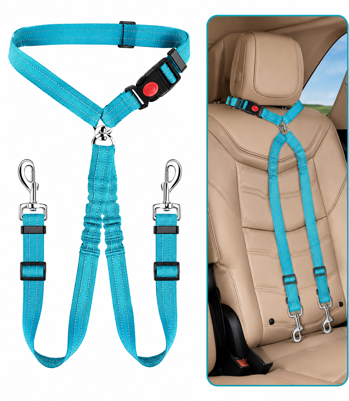 Cinturón de Seguridad Doble para Perros