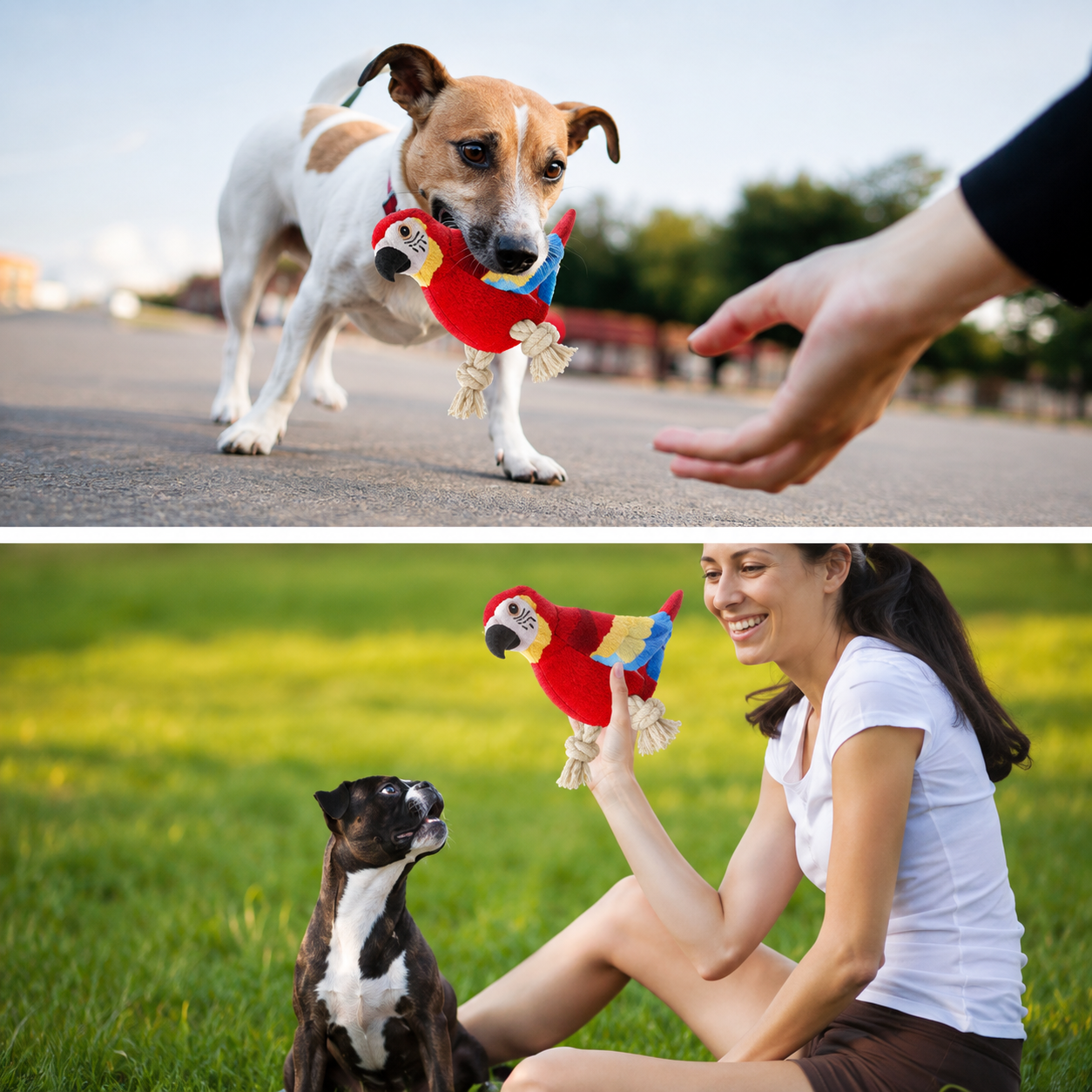 Loro Interactivo de Peluche para Perros